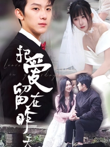 短剧把爱留在昨天海报