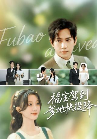 短剧福宝驾到爹地快投降海报