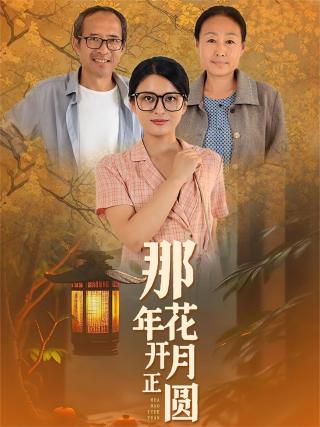 短剧那年花开月正圆海报