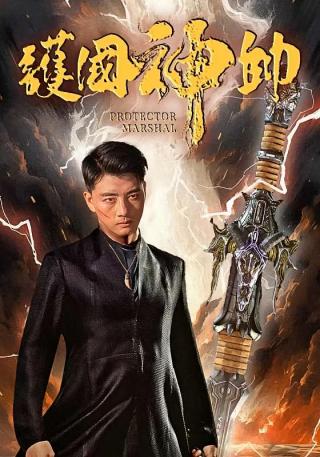 短剧护国神帅海报