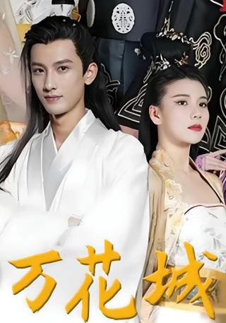 短剧万花城海报