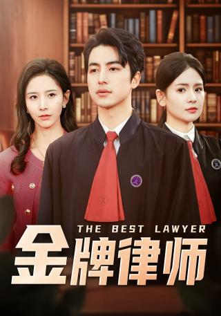 短剧金牌律师海报