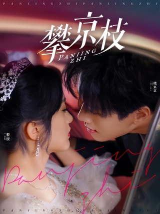 短剧攀京枝海报