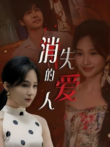 短剧消失的爱人海报