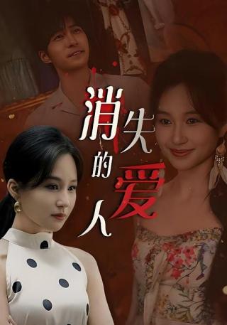 短剧消失的爱人海报