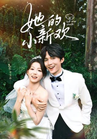 短剧她的小新欢海报