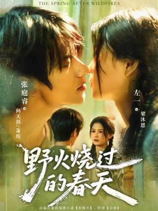 短剧野火烧过的春天海报