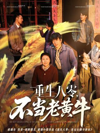 短剧重生八零，不当老黄牛海报