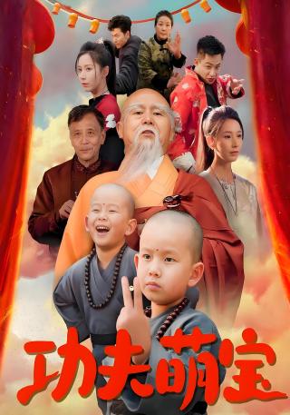 短剧功夫萌宝海报