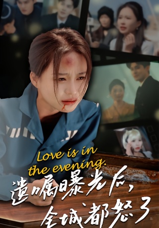 短剧遗嘱曝光后，全城都怒了海报