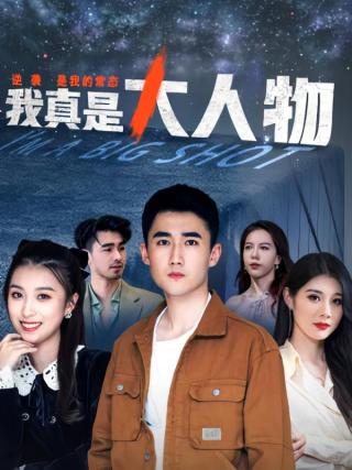 短剧我真是大人物海报