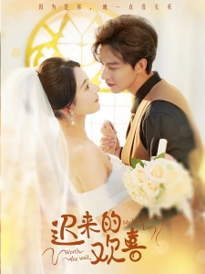 短剧迟来的欢喜海报