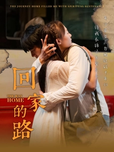 短剧回家的路海报