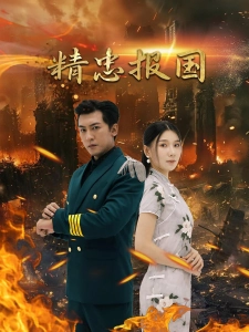 短剧精忠报国海报