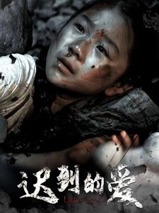 短剧迟到的爱海报