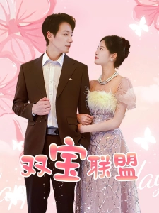 短剧双宝联盟海报