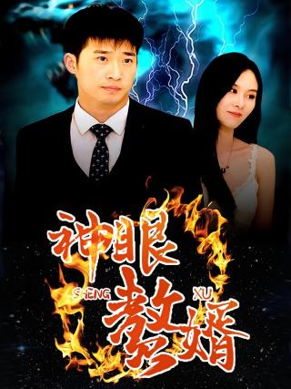 短剧神眼赘婿海报