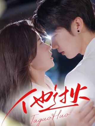 短剧他过火海报