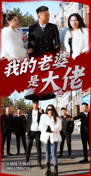 短剧我的老婆是大佬海报