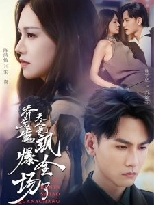 短剧乔先生，夫人她飒爆全场了海报