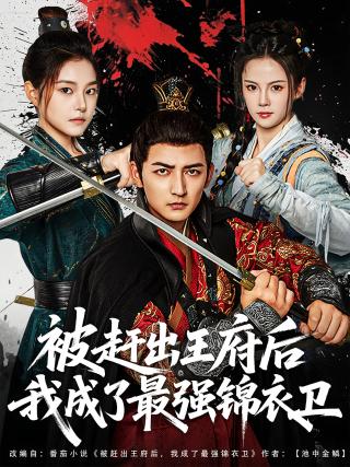 短剧被赶出王府后我成了最强锦衣卫海报