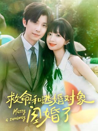 短剧救命！和逃婚对象闪婚了海报