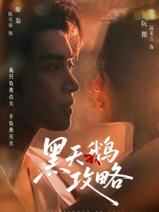 短剧黑天鹅攻略海报