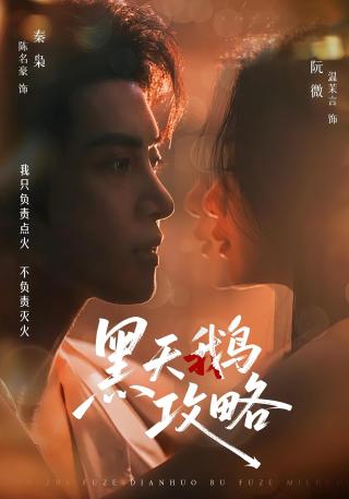 短剧黑天鹅攻略海报