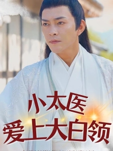 短剧小太医爱上大白领海报