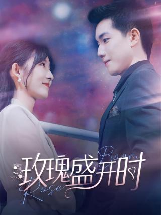 短剧玫瑰盛开时海报