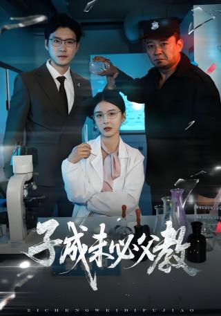 短剧子成未必父教海报