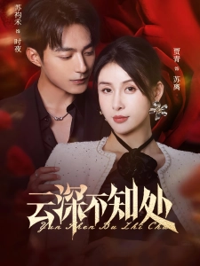短剧云深不知处海报