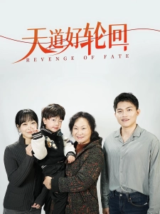 短剧天道好轮回海报