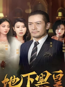 短剧地下黑皇海报