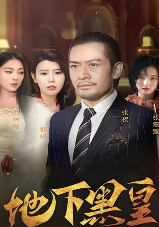 短剧地下黑皇海报