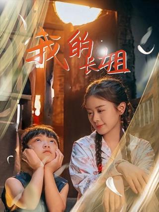 短剧我的长姐海报