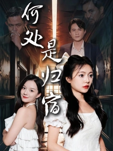 短剧何处是归宿海报