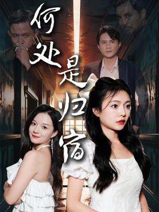 短剧何处是归宿海报