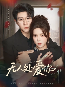 短剧无人处爱你海报