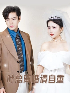 短剧叶总离婚请自重海报