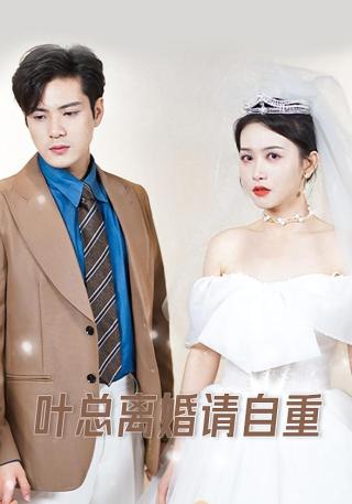 短剧叶总离婚请自重海报