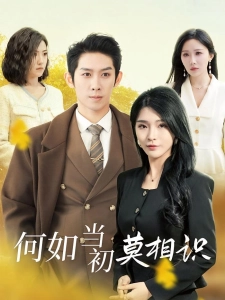 短剧何如当初莫相识海报