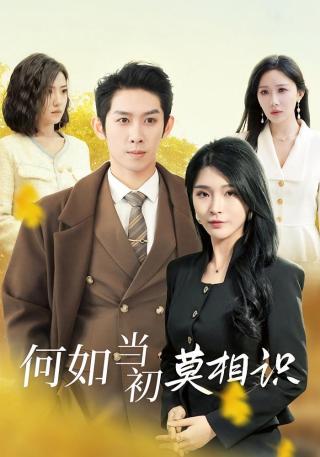 短剧何如当初莫相识海报