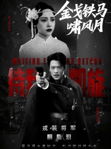 短剧金戈铁马啸风月海报