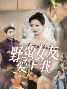 短剧野蛮女友爱上我海报