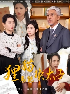 短剧狸猫焉能换太子海报