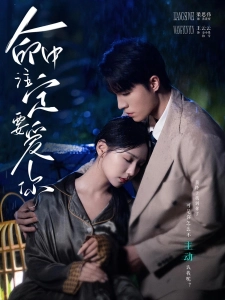 短剧命中注定要爱你海报