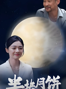 短剧半块月饼海报