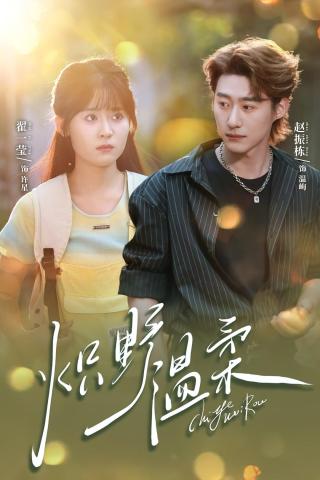 短剧炽野温柔海报