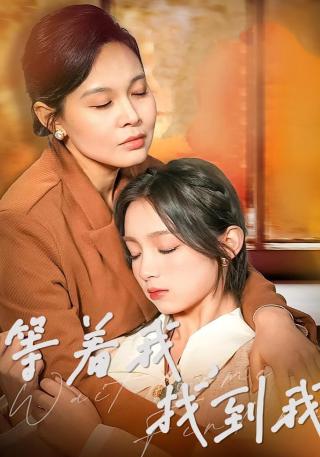 短剧等着我，找到我海报